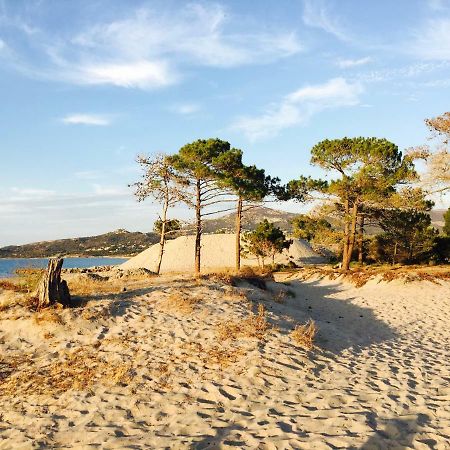 Camping Dolce Vita Hotel Calvi  Buitenkant foto