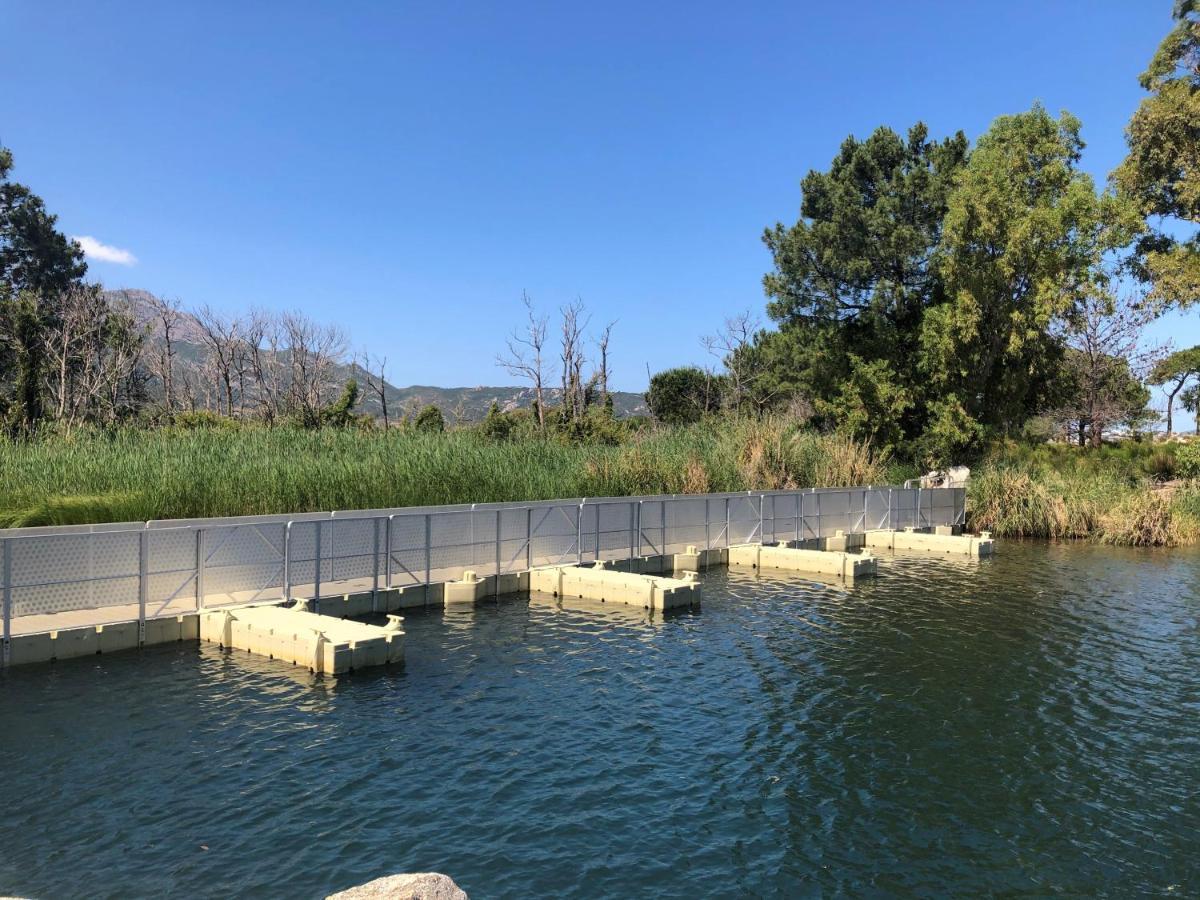 Camping Dolce Vita Calvi  Buitenkant foto