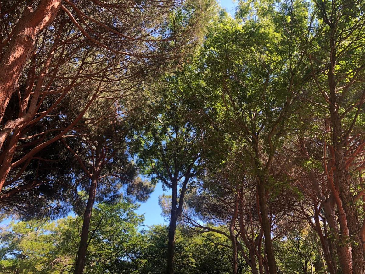 Camping Dolce Vita Calvi  Buitenkant foto