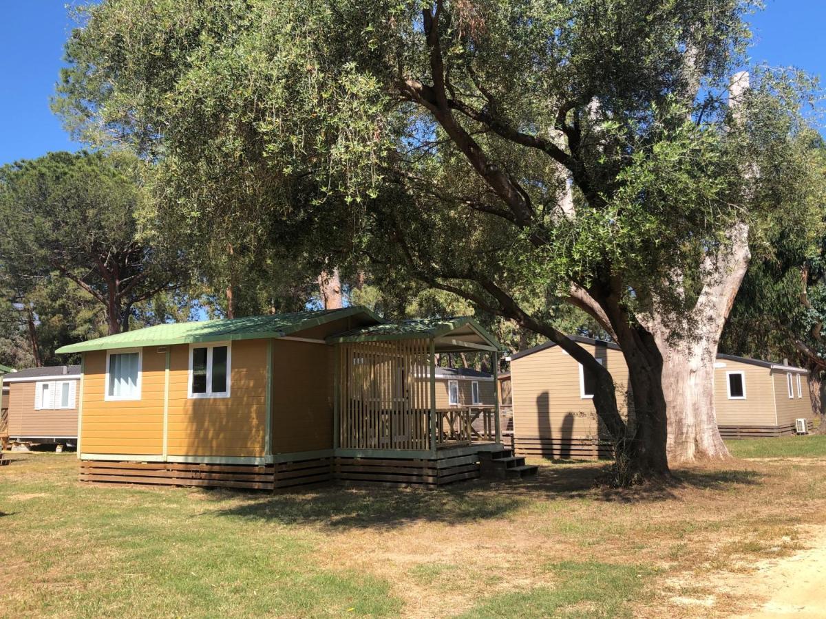 Camping Dolce Vita Calvi  Buitenkant foto