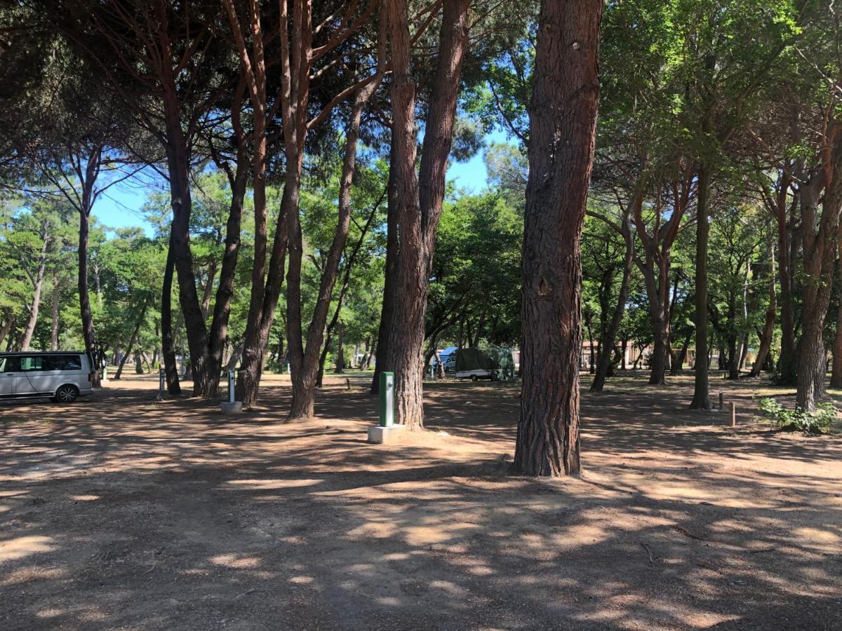 Camping Dolce Vita Calvi  Buitenkant foto