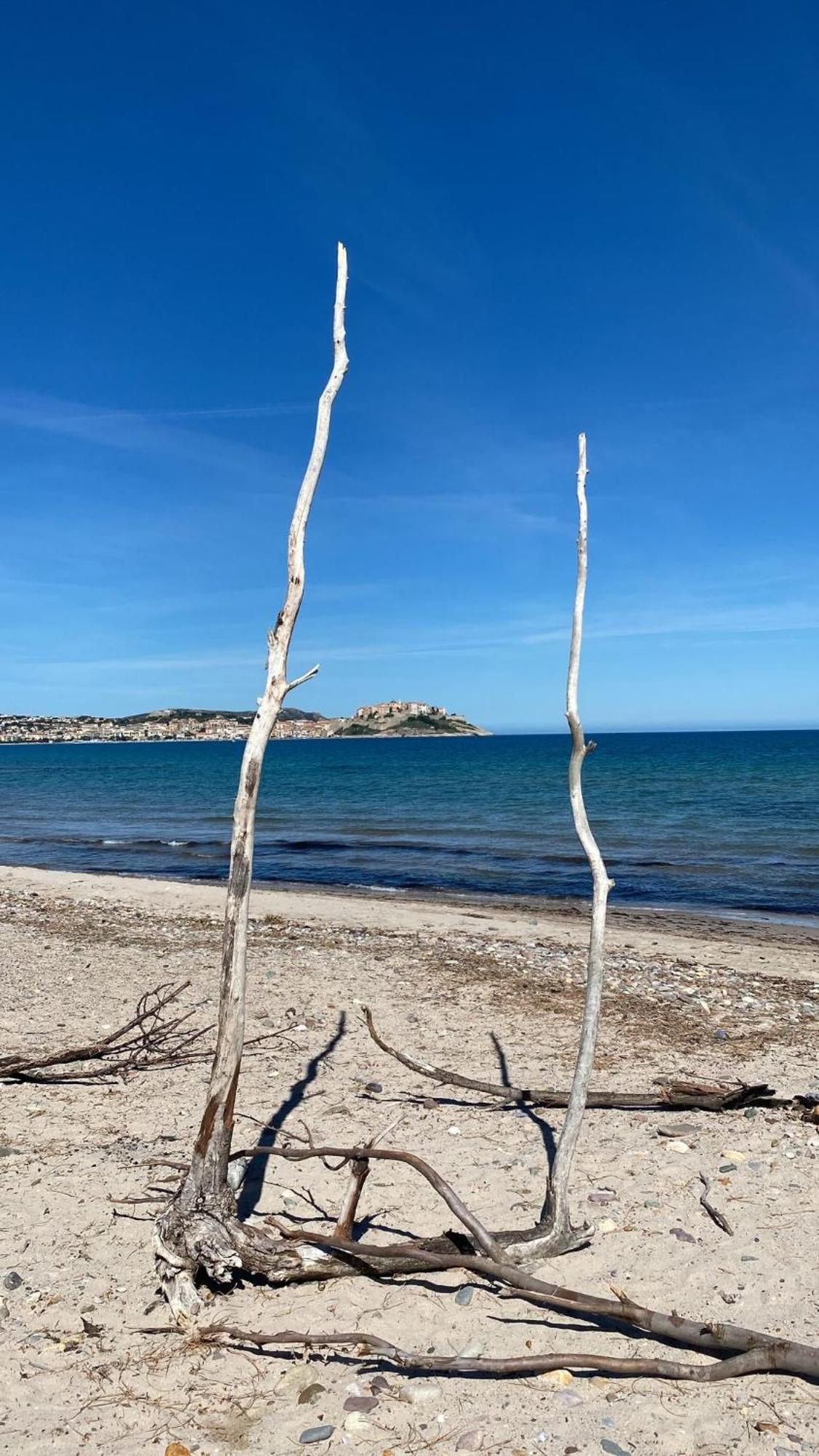 Camping Dolce Vita Calvi  Buitenkant foto
